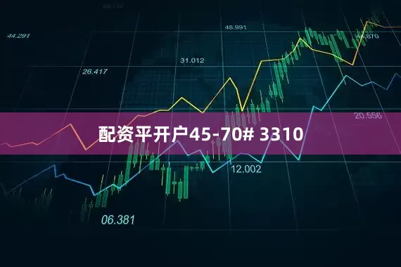 配资平开户45-70# 3310