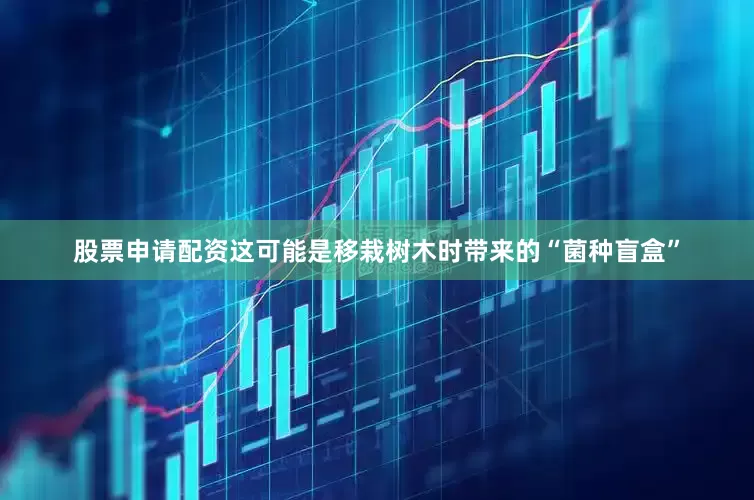 股票申请配资这可能是移栽树木时带来的“菌种盲盒”